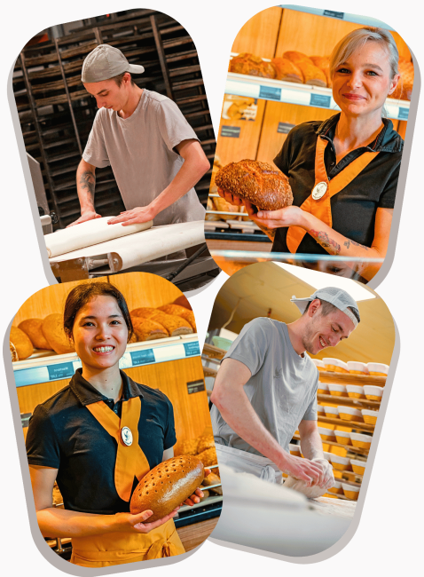 Stellenangebote: Bäckereifachverkäufer/in (m/w/d) Bäcker (m/w/d) Konditor (m/w/d)